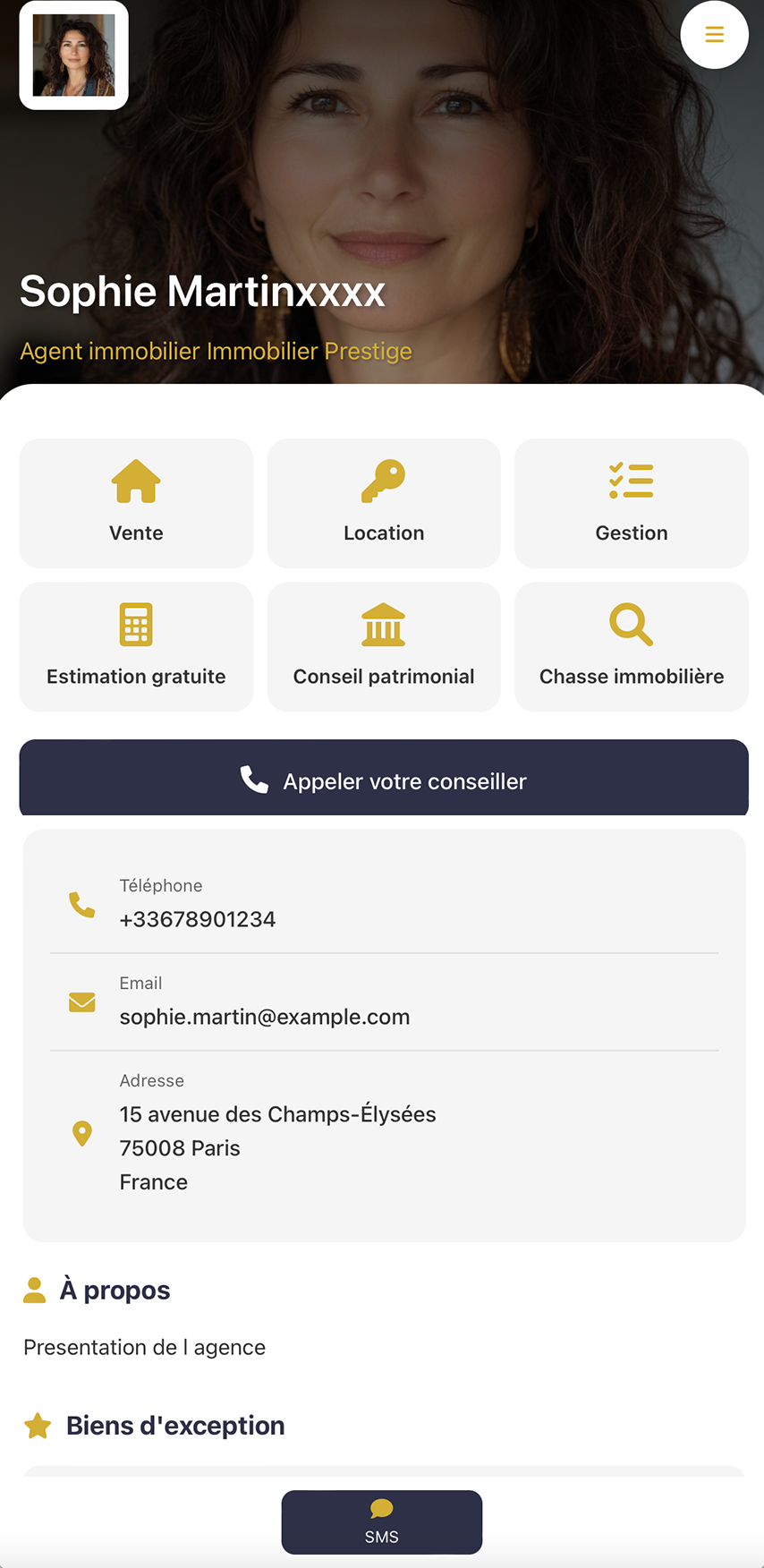 Template Professionnel Pastel